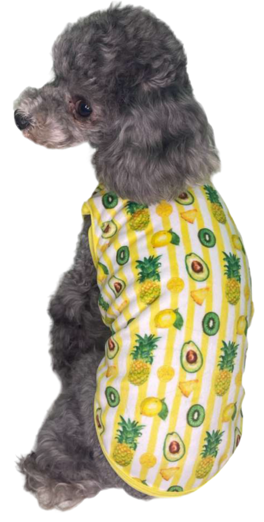 Salvador T-Shirt