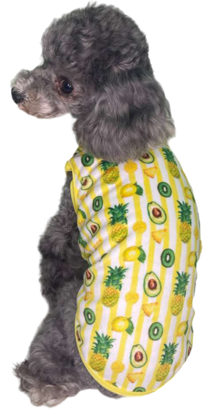 Salvador T-Shirt
