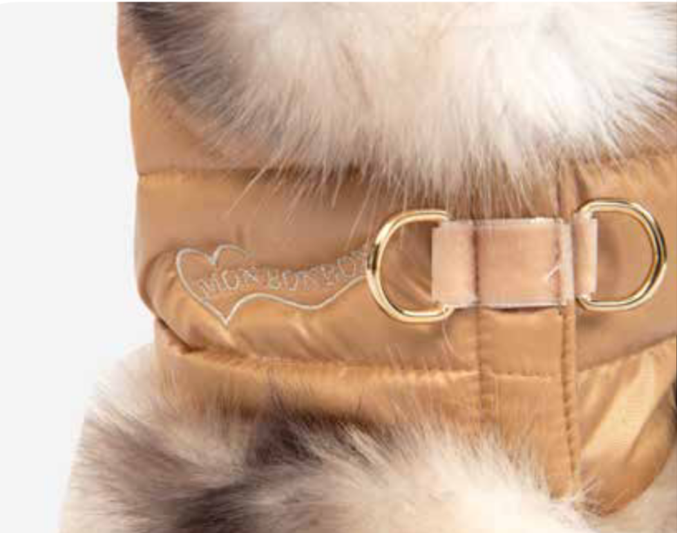 Essence Harness