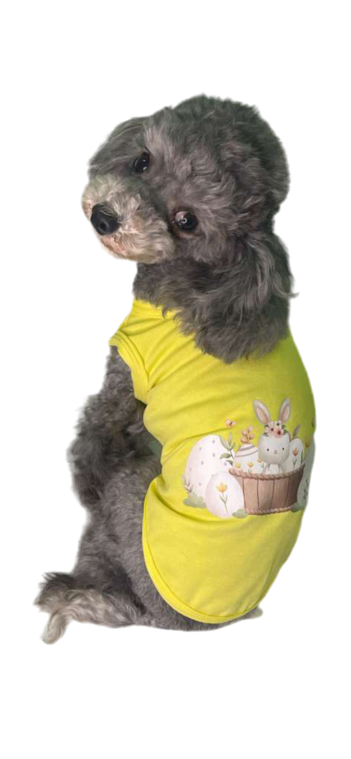 T-Shirt Lolita