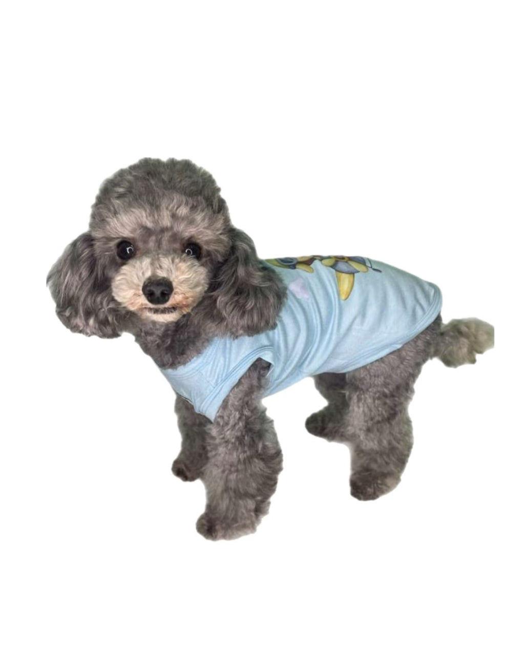 T-Shirt Pacorro