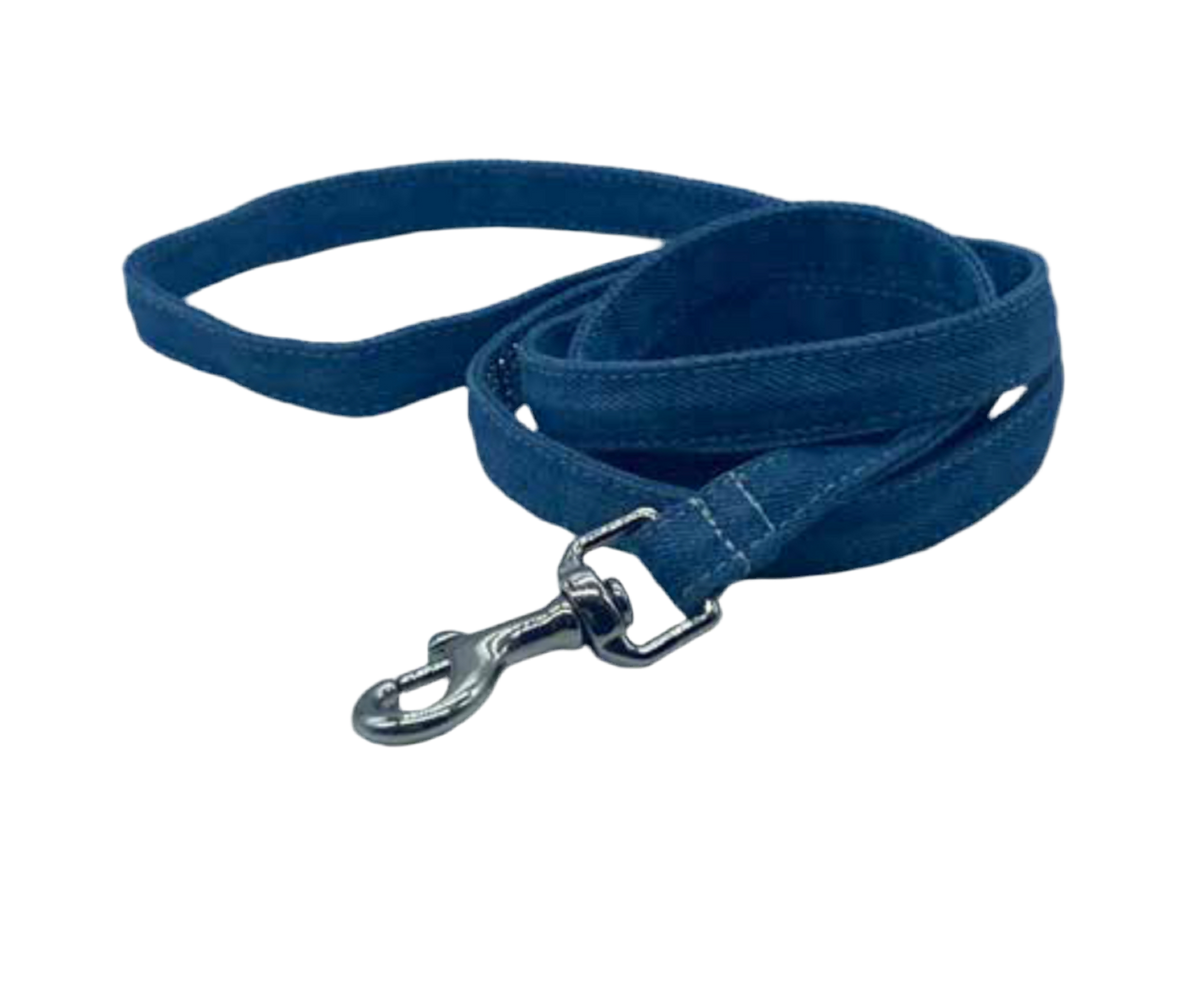 BASIC Leash