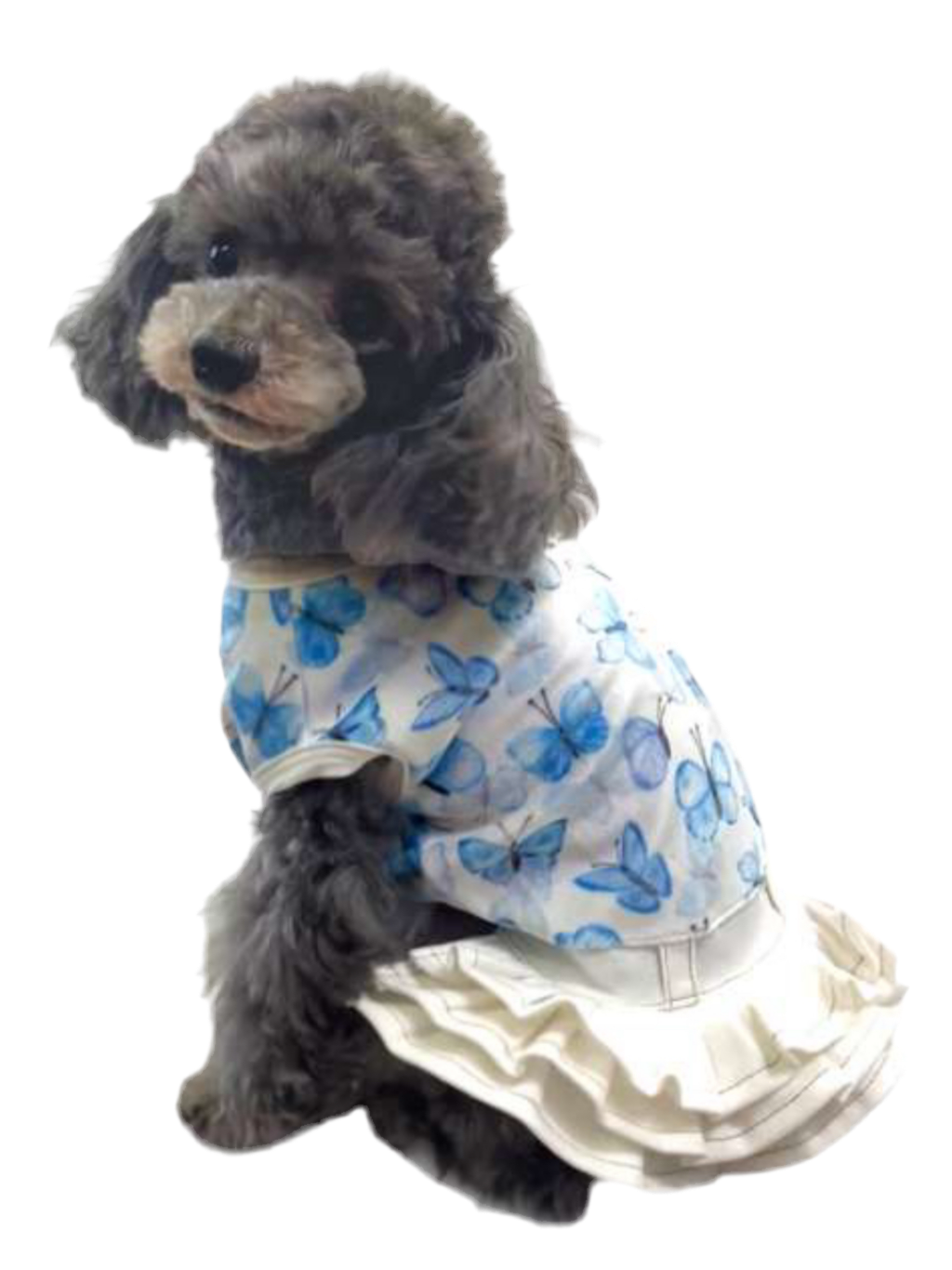 Sarita Dress