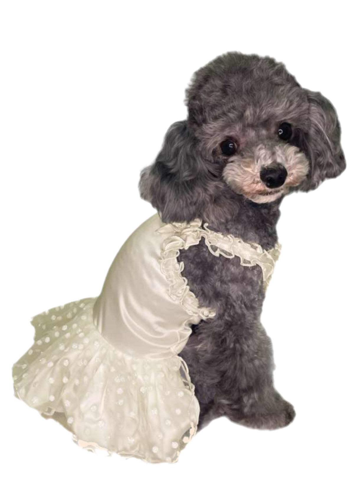 Nita Dress