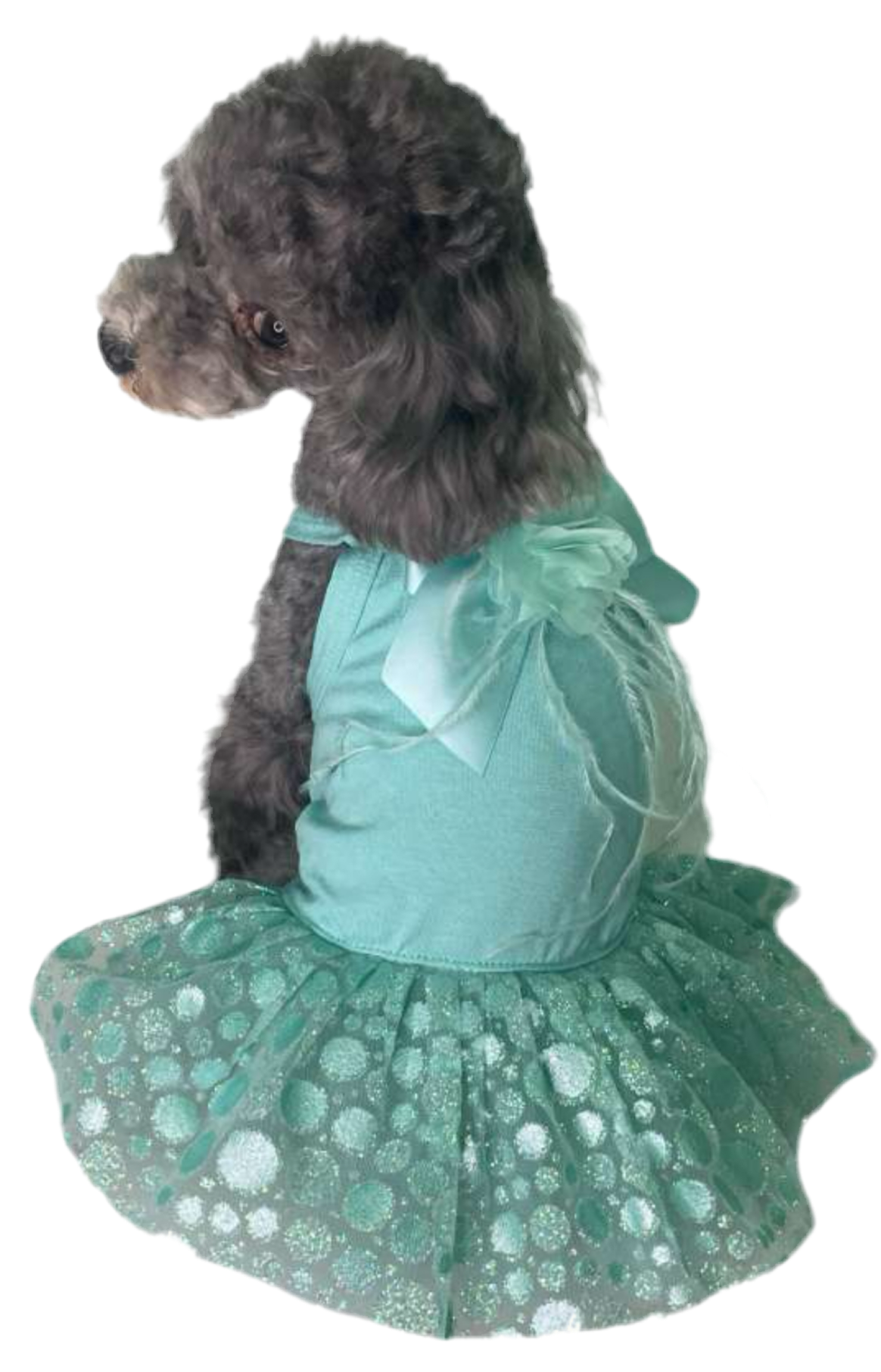 Lupe Dress