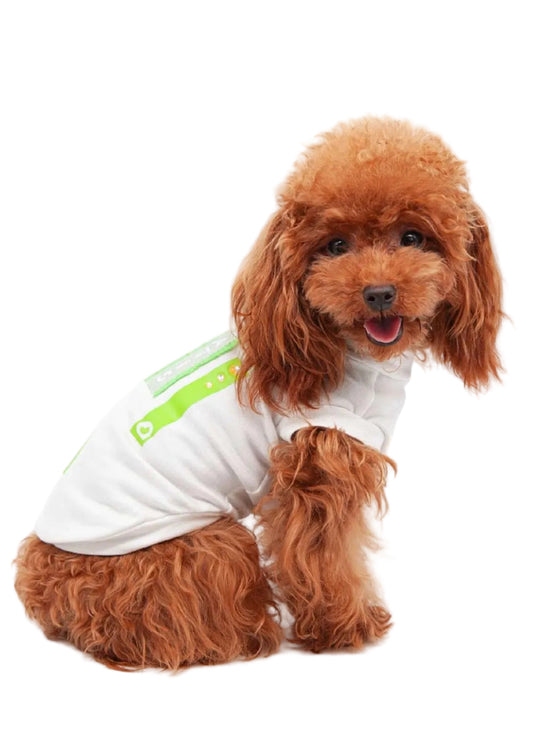 Color Pop T-shirt Green
