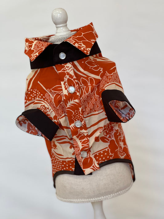 Camicia Trend Orange A402/01