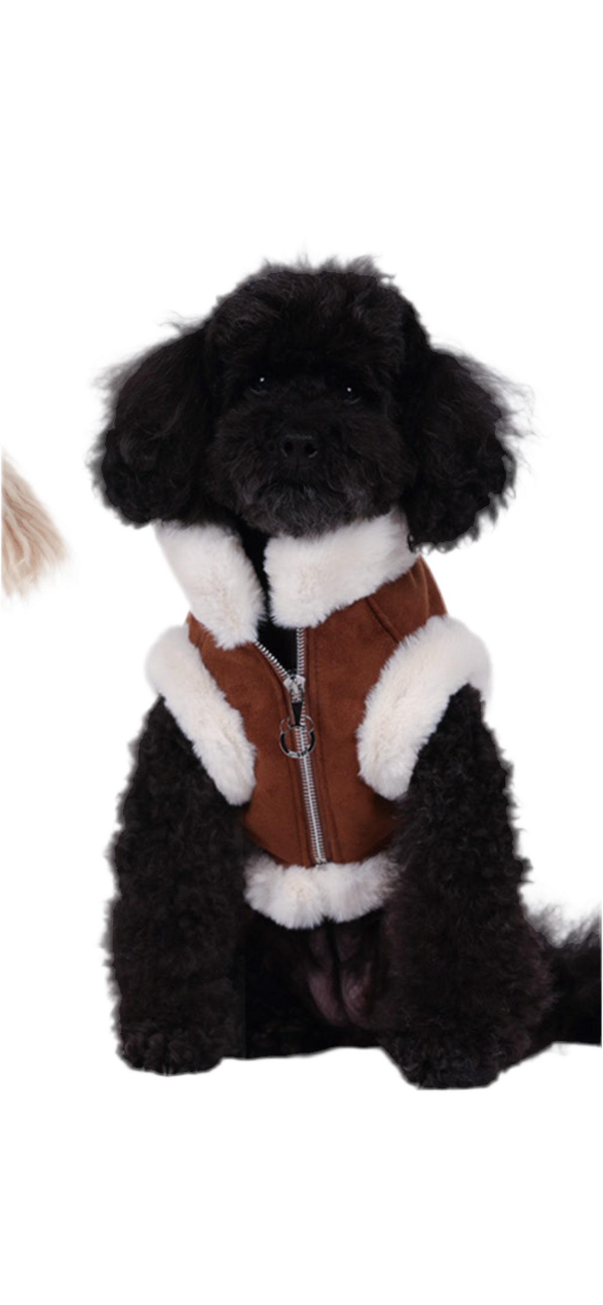 Shearling