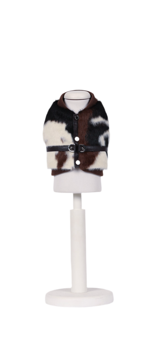 Harness Cavallino