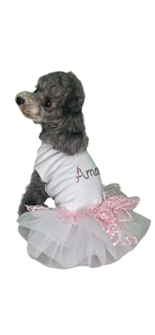 Primavera  Dress Rosa