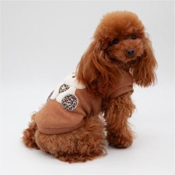 Shirt WILD TEDDY