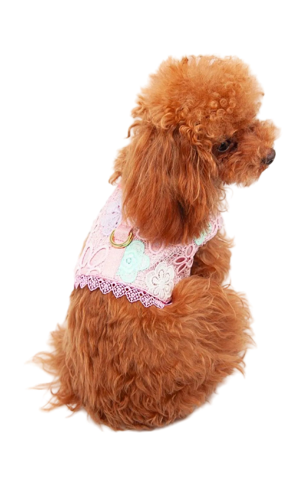 Bloomy Harness
