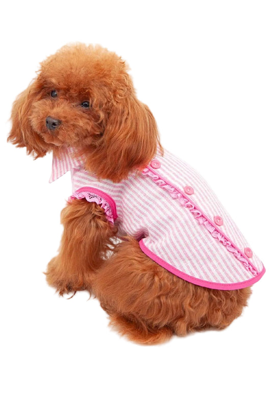Candy Stripes Fuxia
