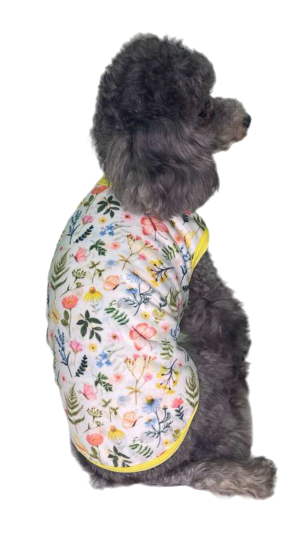 Ernesta T-Shirt
