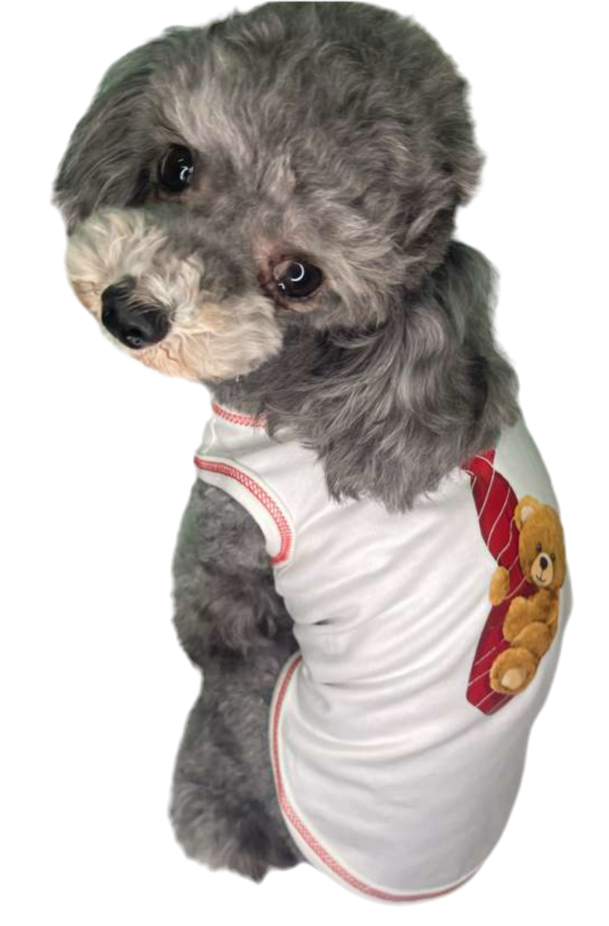 T-shirt Teodor