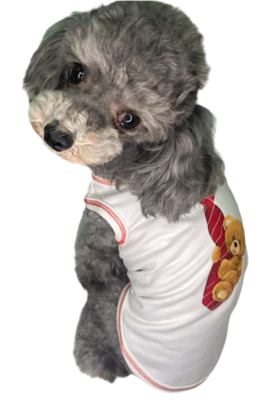 T-shirt Teodor