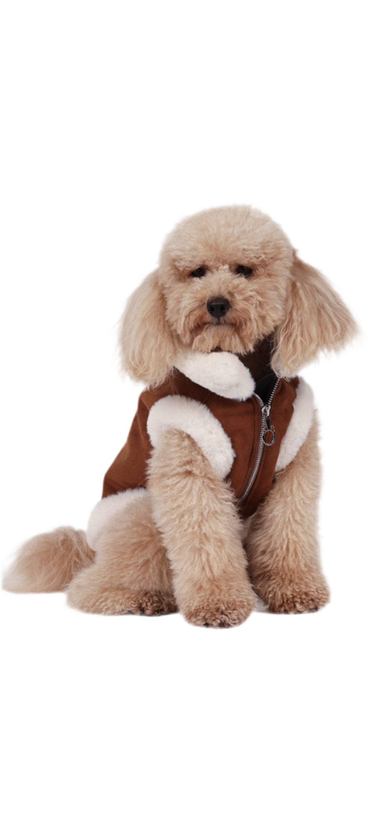 Shearling