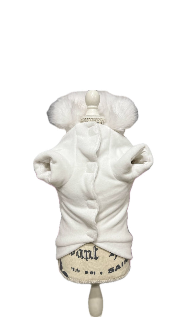Sugar Jackets