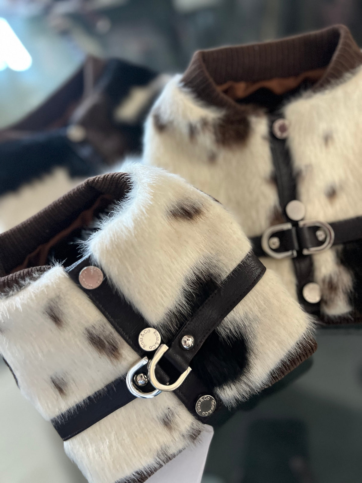 Harness Cavallino