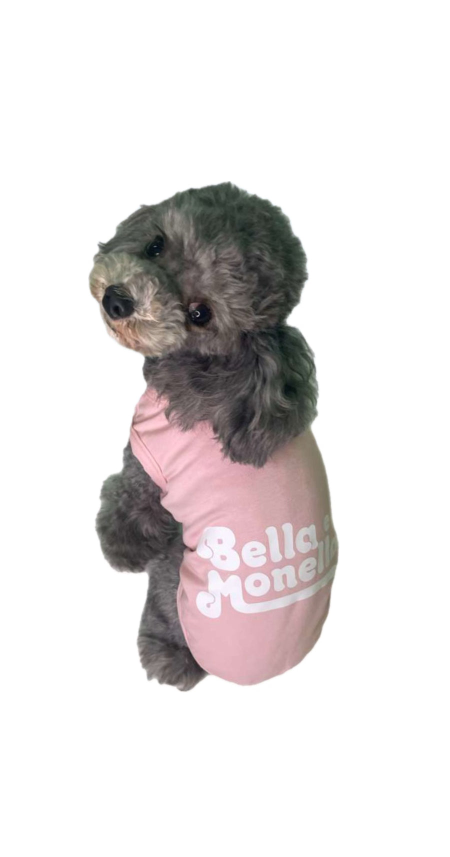 T-Shirt Leira