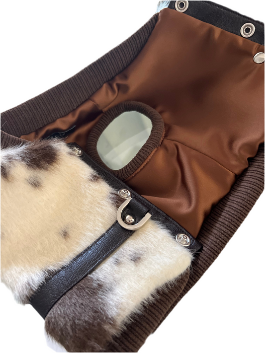 Harness Cavallino