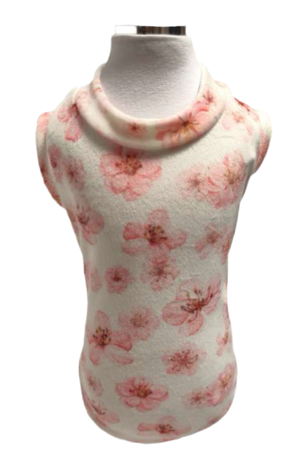 Carmencita ciniglia