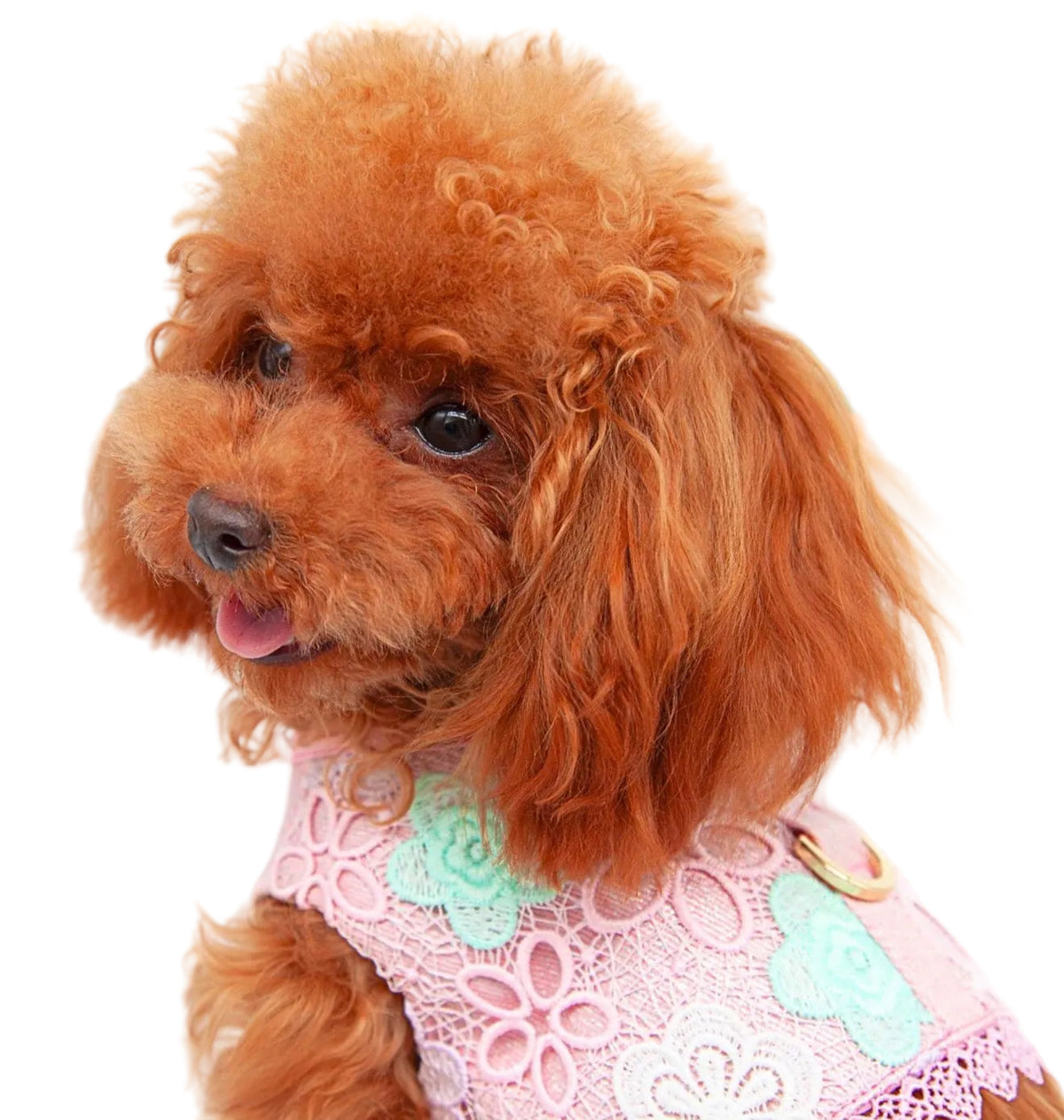 Bloomy Harness