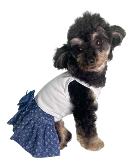 Tadeo Dress