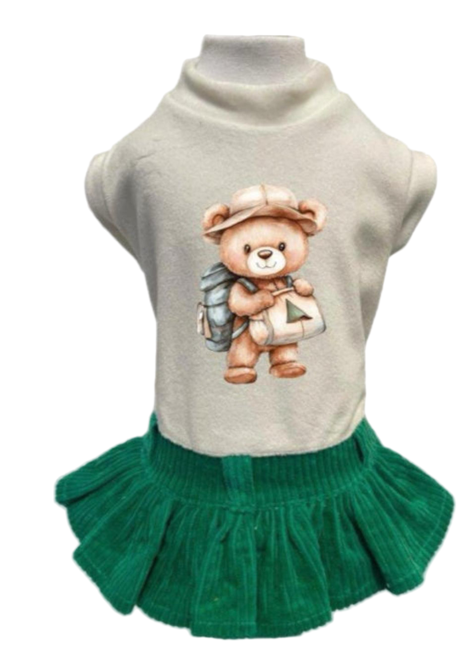 Teddy Explorer