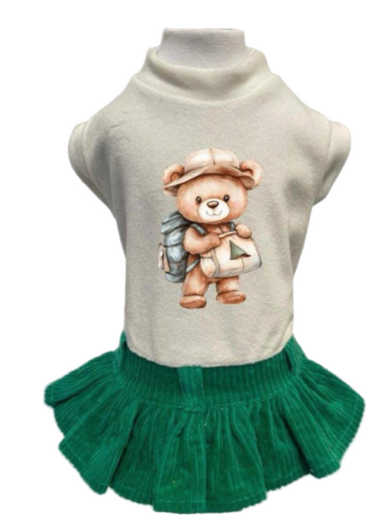 Teddy Explorer
