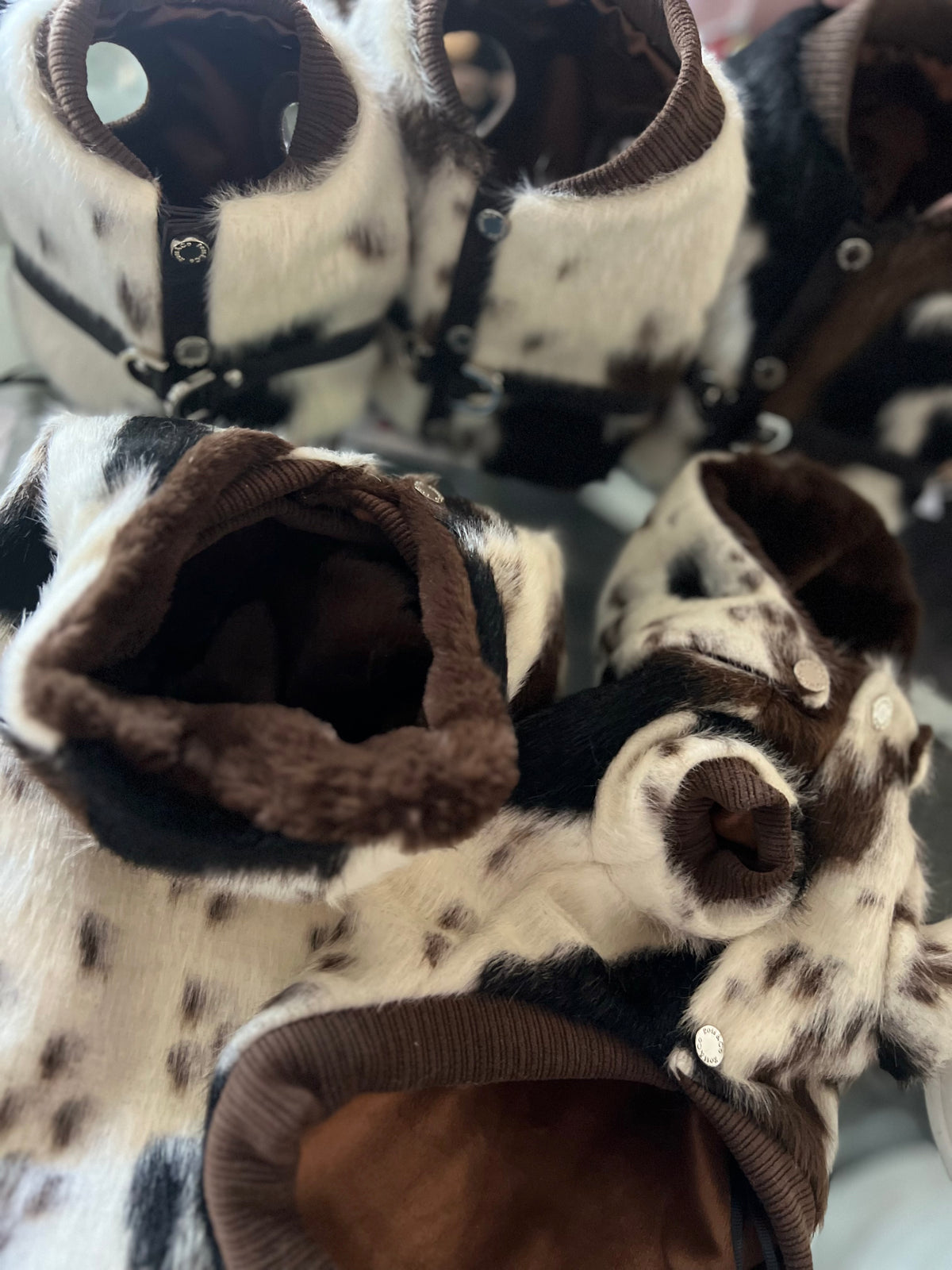 Harness Cavallino