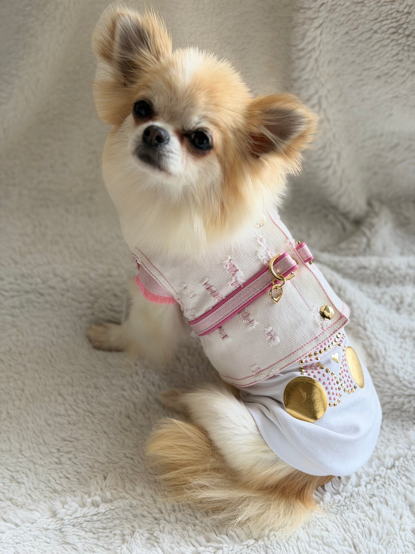 Teddy Harness Pink