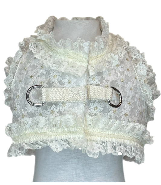 Liana Pettorina Lace