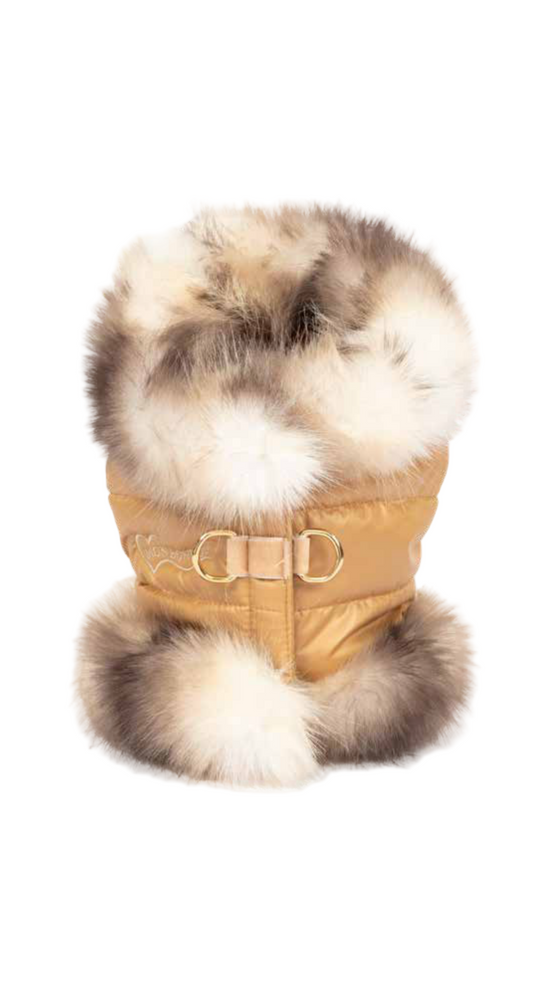 Essence Harness