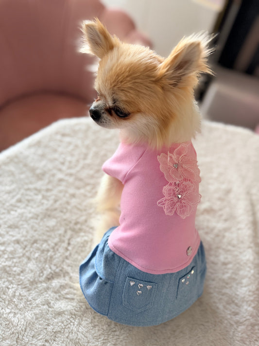 Ohau Dress