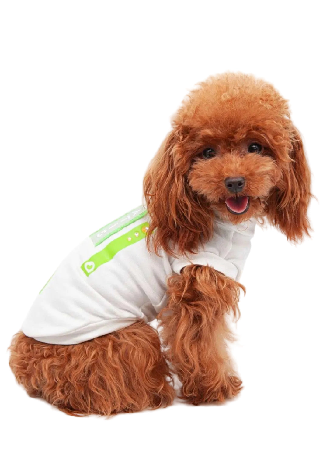 Color Pop T-shirt Green