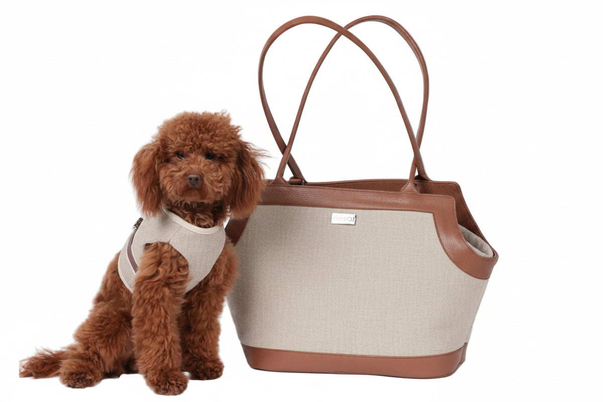 Harness I901 Beige